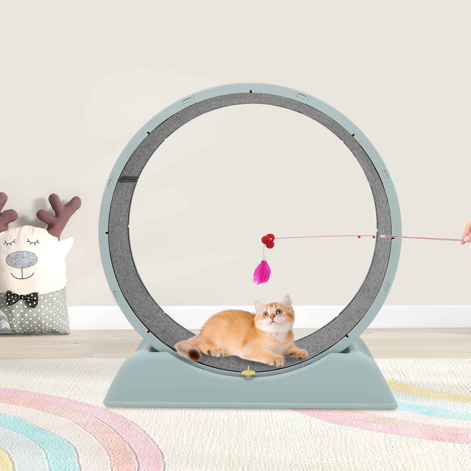 Rueda para gatos, rueda de correr para gatos, rueda silenciosa para gatos con hebilla de seguridad, cinta de correr interior con alfombra para correr y rascar, rueda para gatos, 80 cm de diámetro