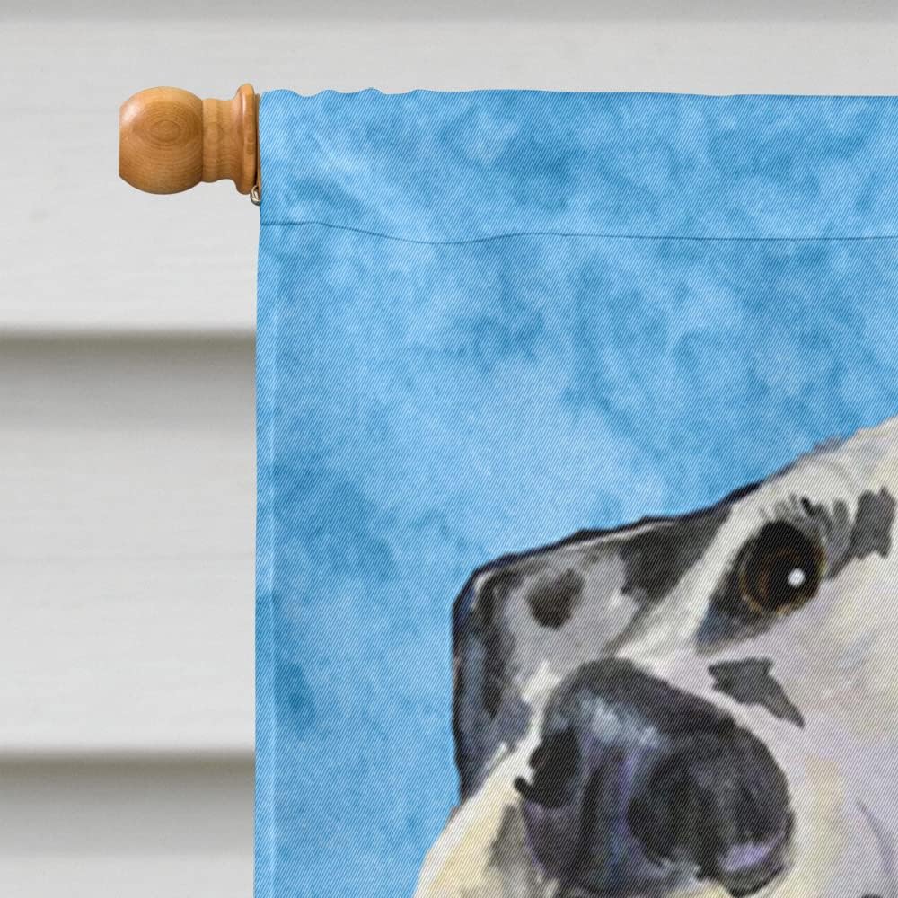 Caroline's Treasures SS4126CHF Dalmatian Flag Canvas, Large, Multicolor