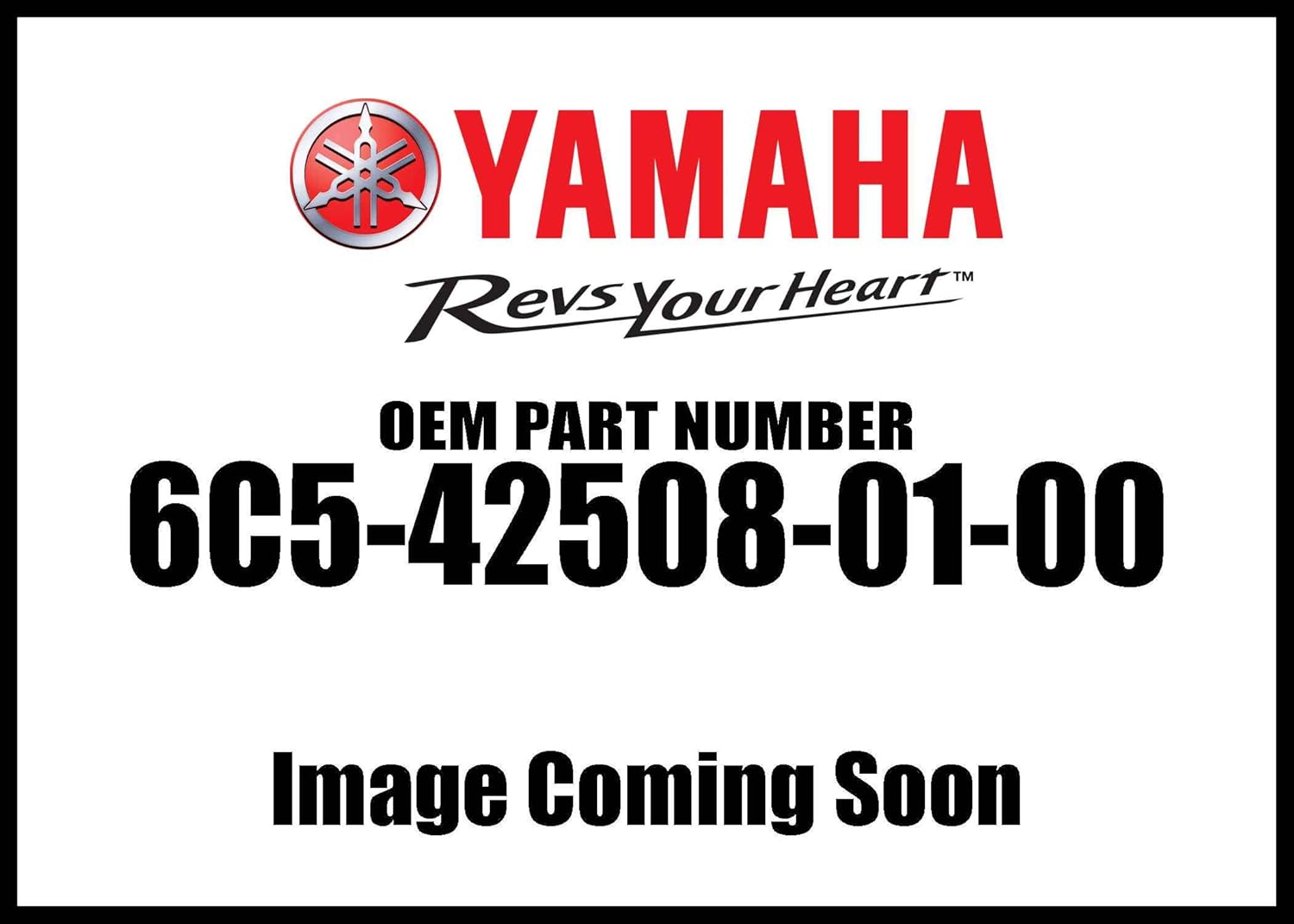 Yamaha 6C5425080100 Steering Friction Assembly