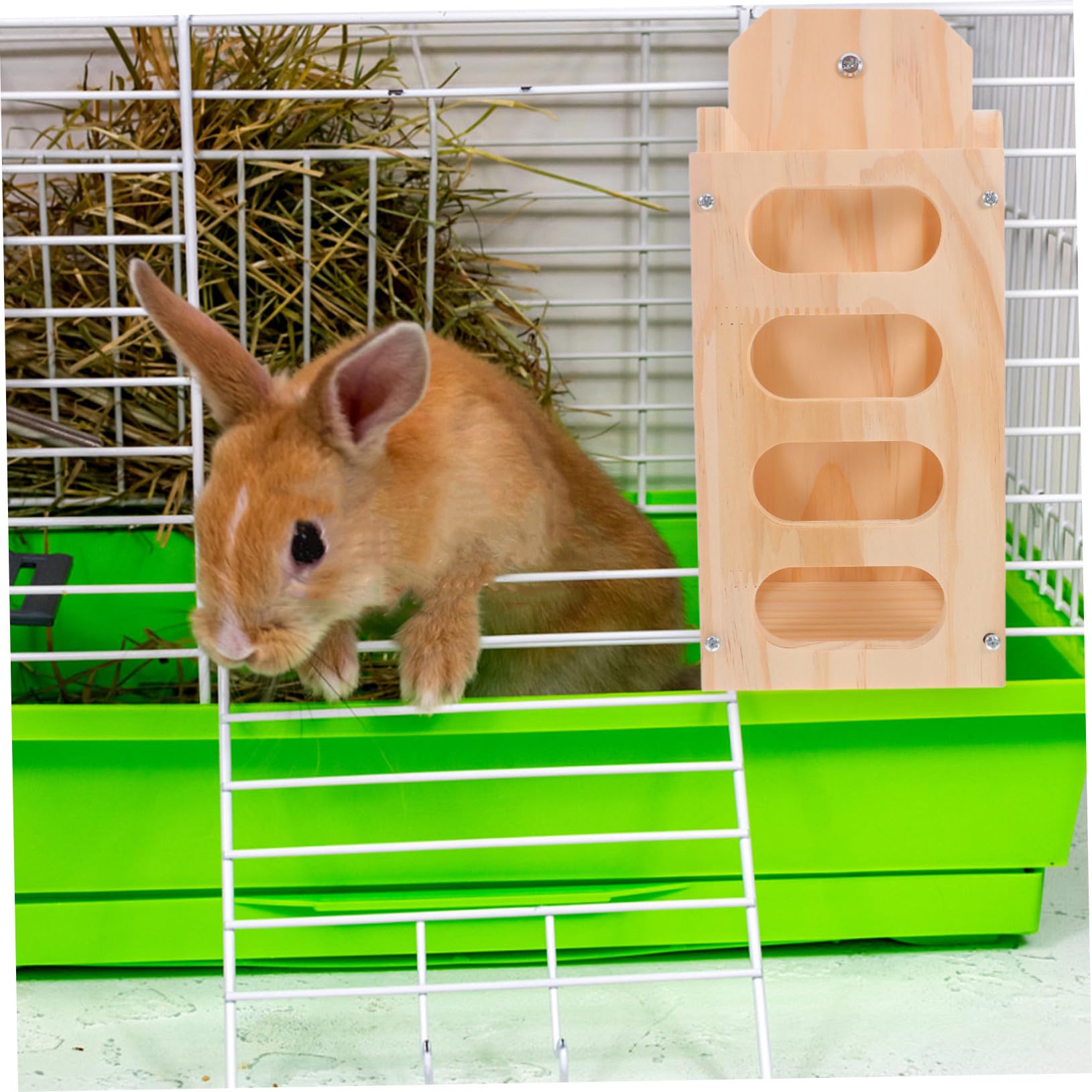 Râtelier à Foin Bois pour Petits Animaux avec Design Ouvert Anti-gaspillage Installation Facile Adapté Aux Lapins et Cochons Distributeur de Foin pour Cage Intérieure
