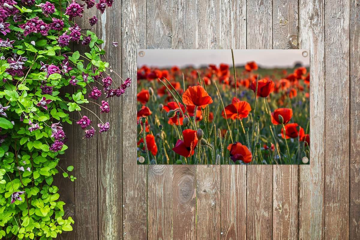 MuchoWow Outdoor-Poster – 50x50 Cm, Blumen-Motiv (Mohn), UV-beständig, Für Garten & Balkon