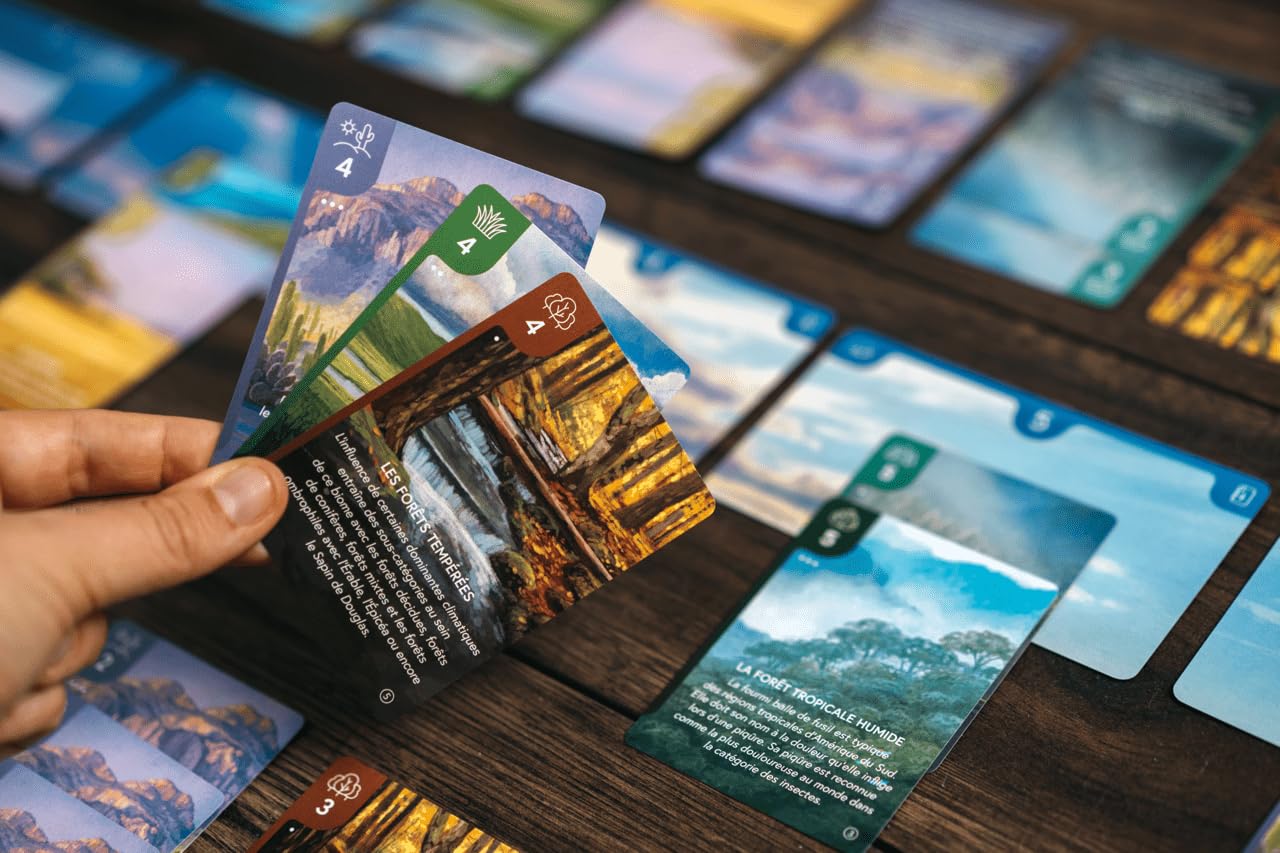 Ecosphere - Gioco da tavolo, versione francese, L