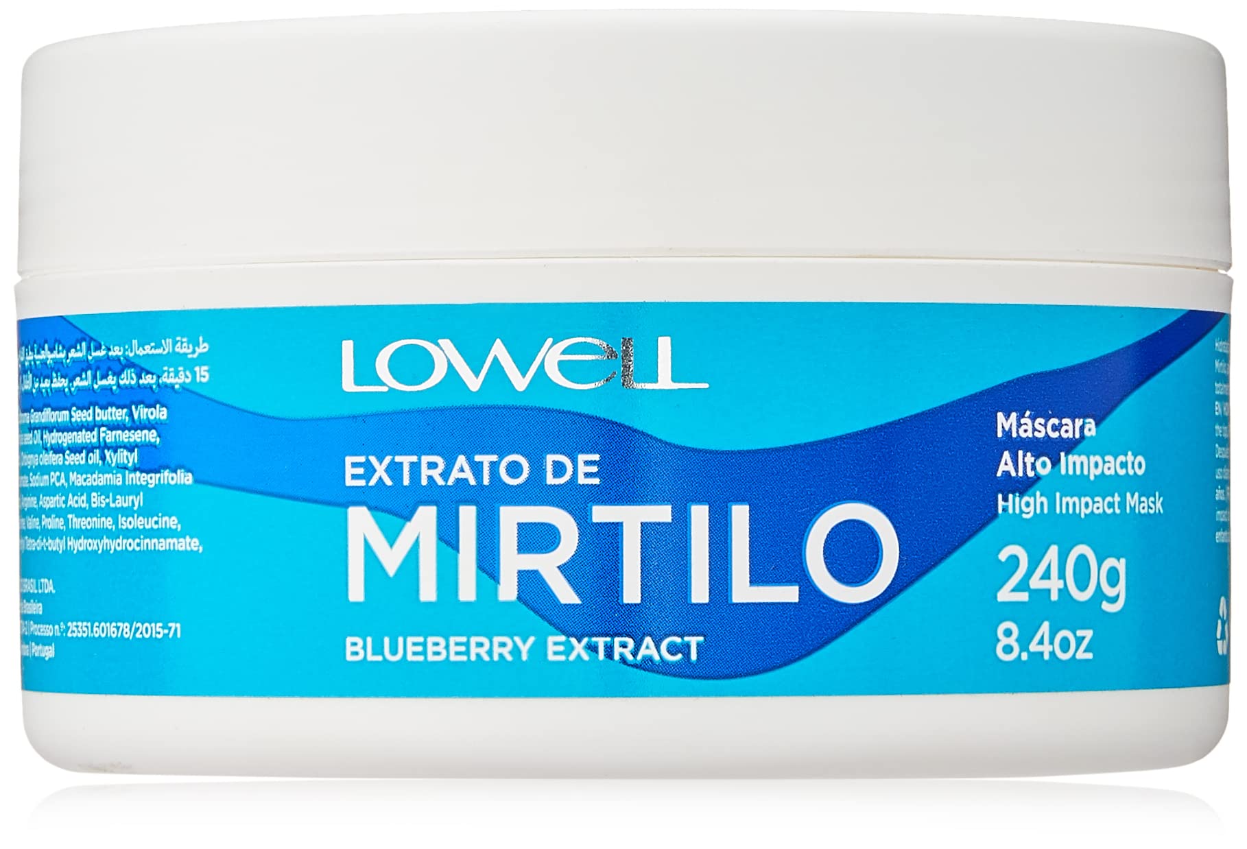 Lowell - Blueberry High Impact Mask - 240 g - Intensive Repair & Hydration - Restores Strength, Shine and Softness for All Hair Types