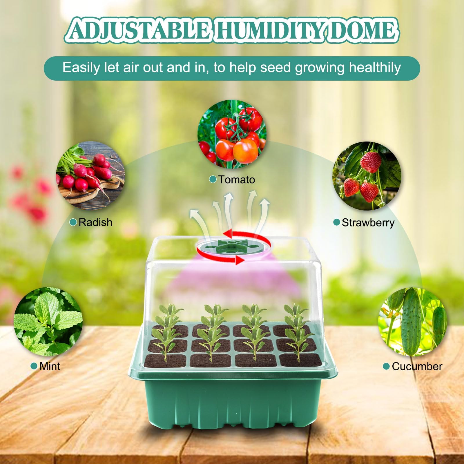 5 Pezzi Vassoi per La Germinazione, Vassoio Germinazione con Luce di Coltivazione Propagator con coperchi rialzati per Serra Giardino Verdura Frutta Seme Piante In Mini Serra