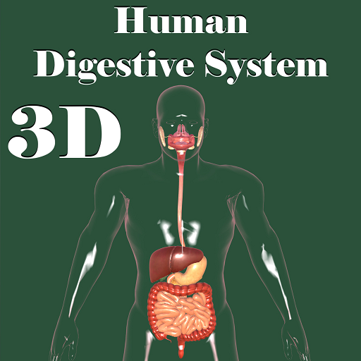 Human Digestive System - App on Amazon Appstore