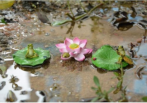 Miniatura 5 de Top Collection Jardín de hadas en miniatura y terrario lindo mini rana durmiendo en la figura de flor de loto