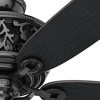 Hunter Fan Company, 59545, 54 inch Promenade Gloss Black