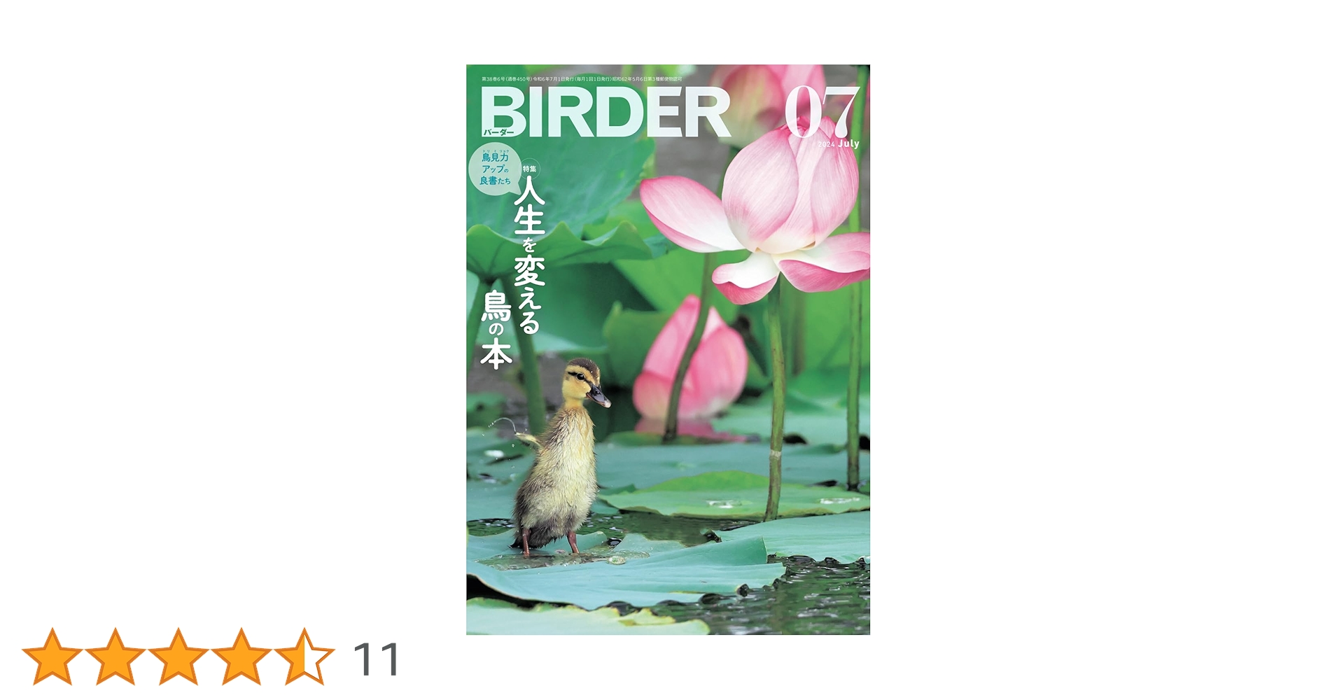 美品【BIRDER】2024年 BIRDER（バーダー）2024年12月号 見たい！知りたい！ カラ類
