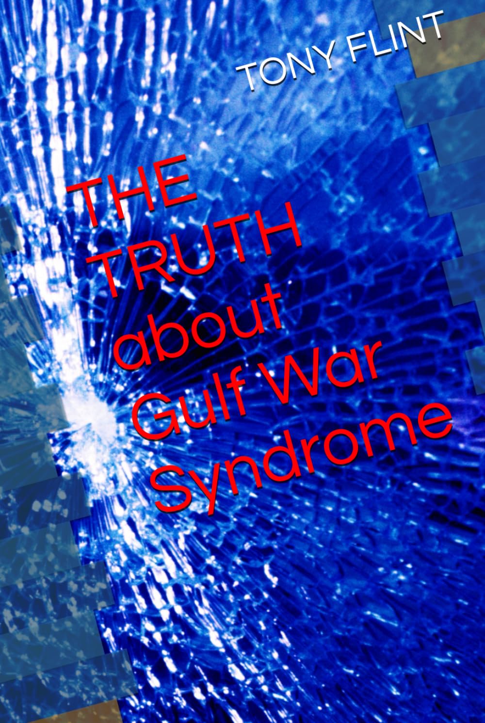 THE TRUTH about Gulf War Syndrome