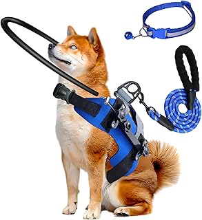 Halo For Blind Dogs Picks collage image 2