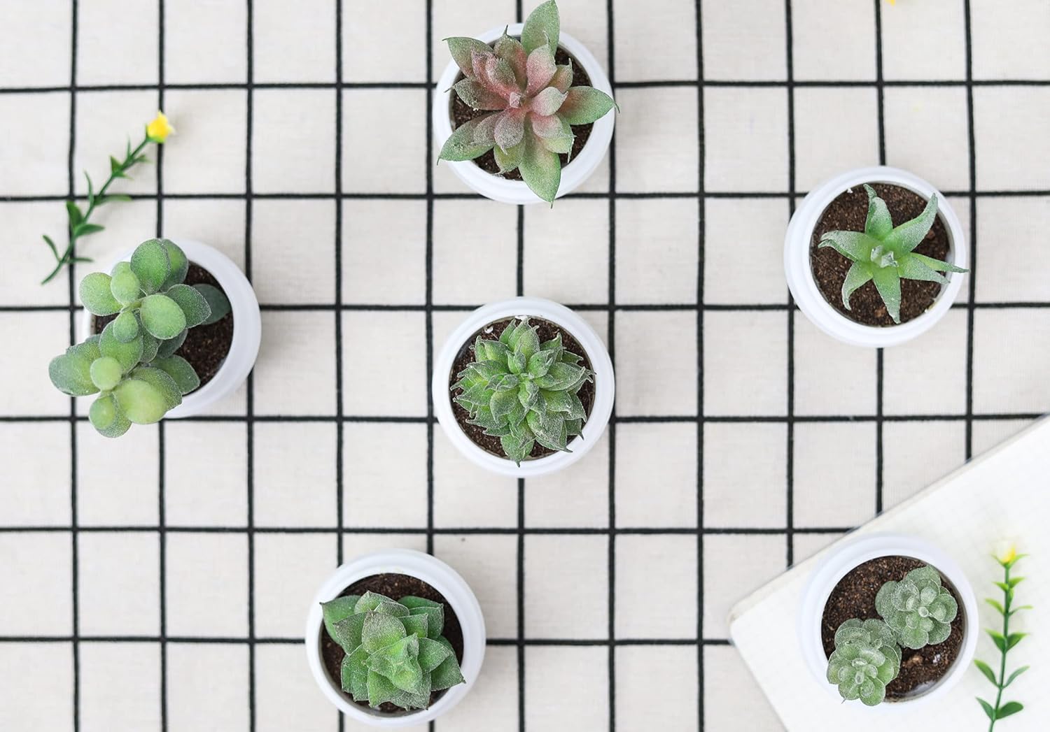 Der Rose Bundle of 6 Packs Small Fake Plants and Set of 6 Succulents Plants Artificial in Pots for Bedroom Aesthetic Living Room Office Bathroom Decor