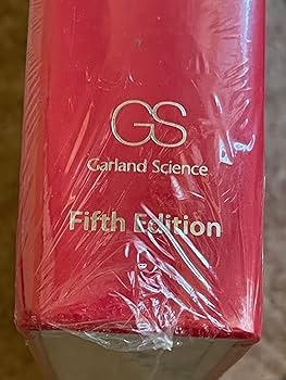 健康・医学 Molecular biology Fundamental Molecular Biology: Allison, Lizabeth A