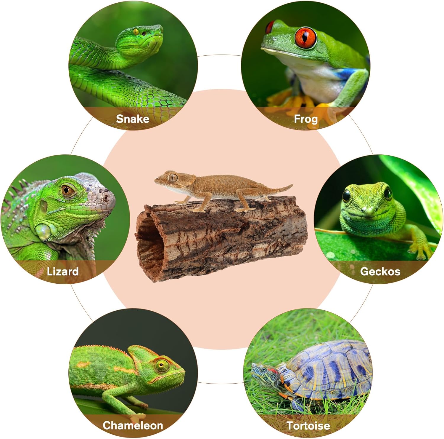 Natural Cork Bark for Reptile Hideout: Round Cork Bark Tube Terrarium Log Cave Wood Climbing Hide for Gecko Lizard Snakes Hermit Crabs Frog 3. 14×7. 8"