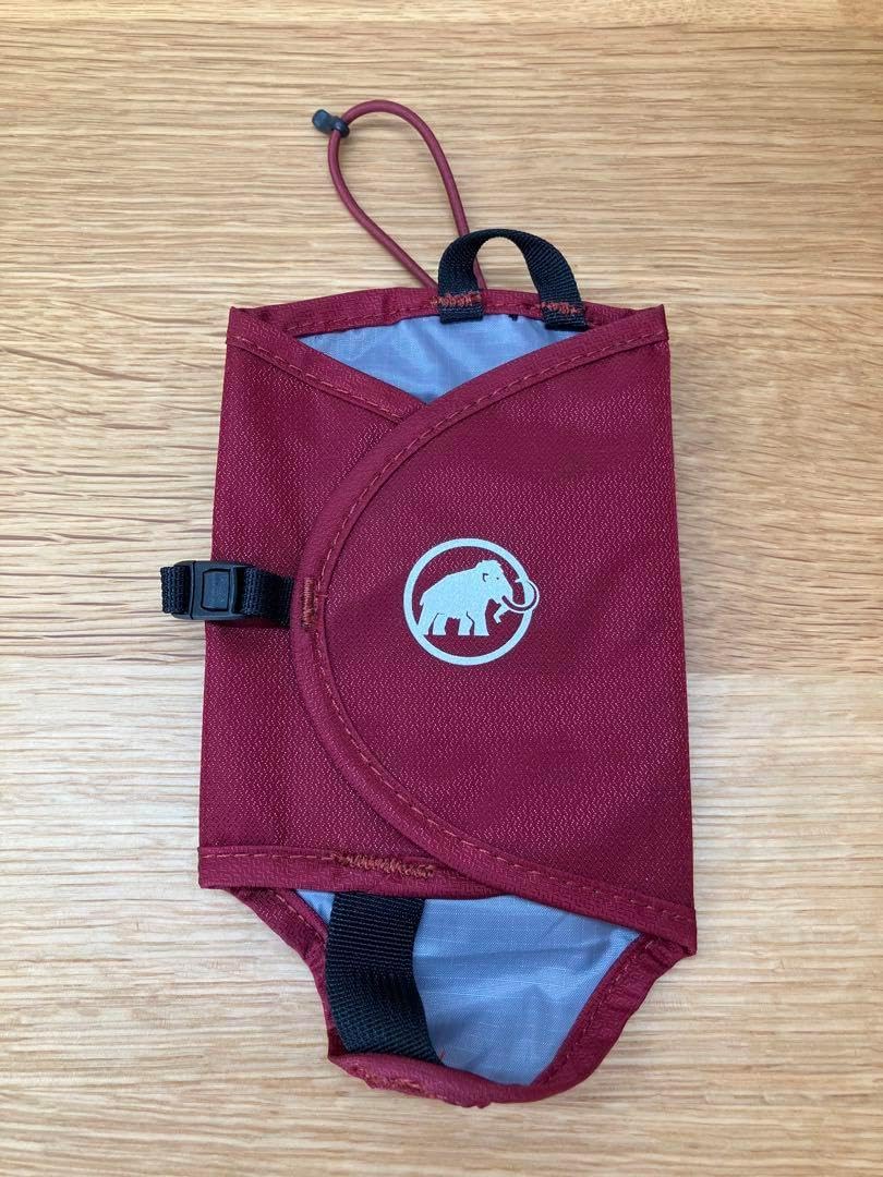 ボトルツリー 2025、7/25撮影 希少ブラキキトン ディスカラー新芽でてます ボトルツリー 2025、7/25撮影 希少ブラキキトン ディスカラー新芽でて