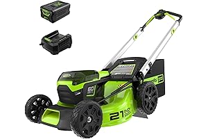 Greenworks: Powerhouse for Smooth, Manicured Lawns