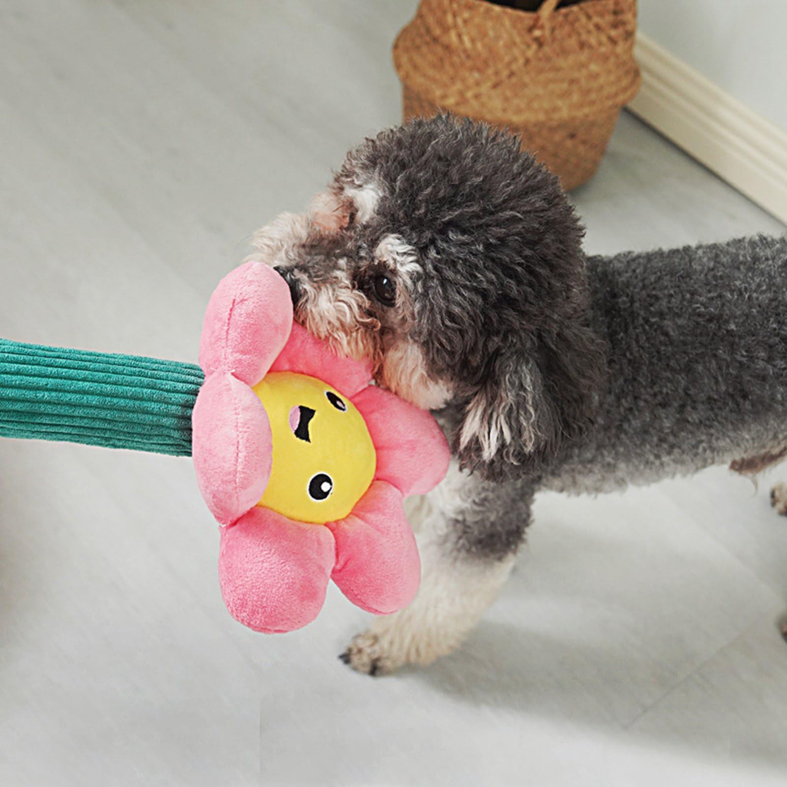 rose flower dog toy Hide 'n Seek Florals