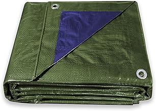 ESTO Telo Impermeabile Verde Esterno, Telone Occhiellato 100g/mq Telo Protettivo Multiuso per Auto, Barche, Piscina, Giardino (10x12 Metri)