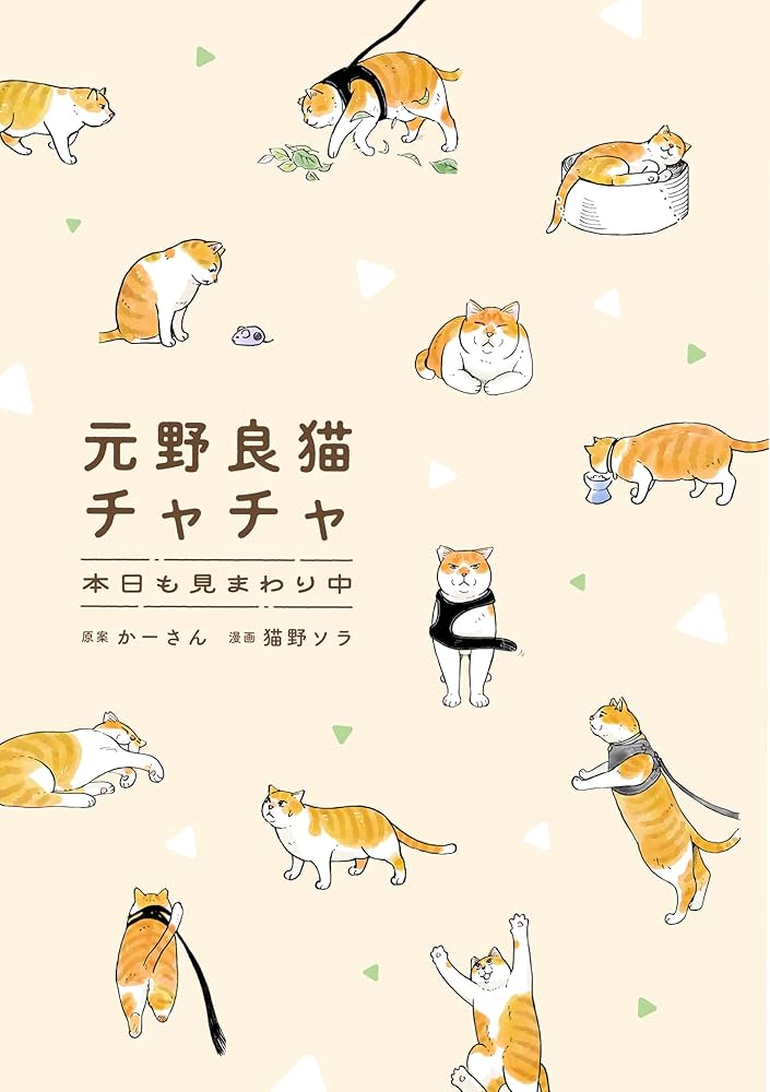 Amazon.co.jp: 【Amazon.co.jp 限定】元野良猫チャチャ 本日も見