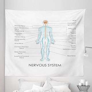 Ambesonne Anatomy Tapestry King Size, Science Nerve Spinal Human Nervous System Graphic Plain Background, Wall Hanging Bedspread Bed Cover Wall Decor, 104" X 88", Pastel Brown Blue and White