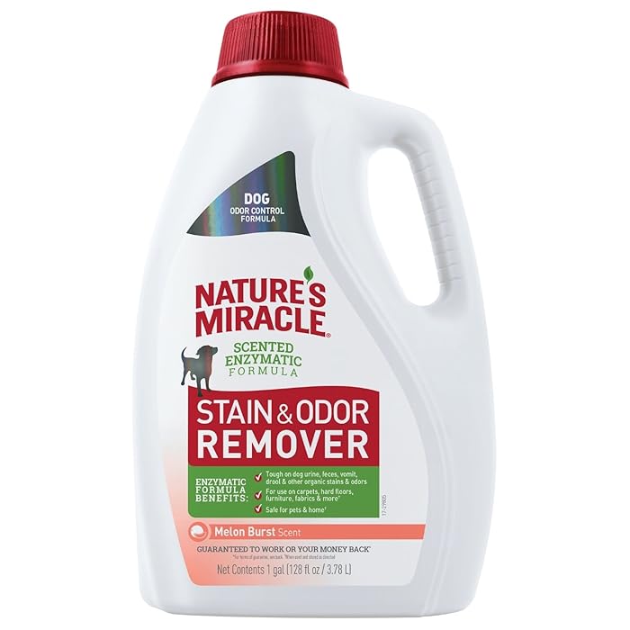 Buy Nature's Miracle P98153 Dog Stain and Odor Remover, 128 fl oz