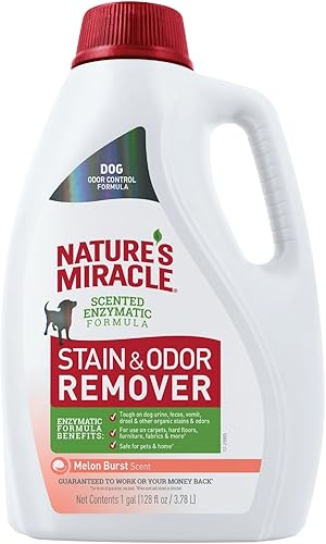 Miniatura 14 de Removedor de manchas y olores de perros, fórmula enzimática para desastres cotidianos, de Nature's Miracle, 709 ml