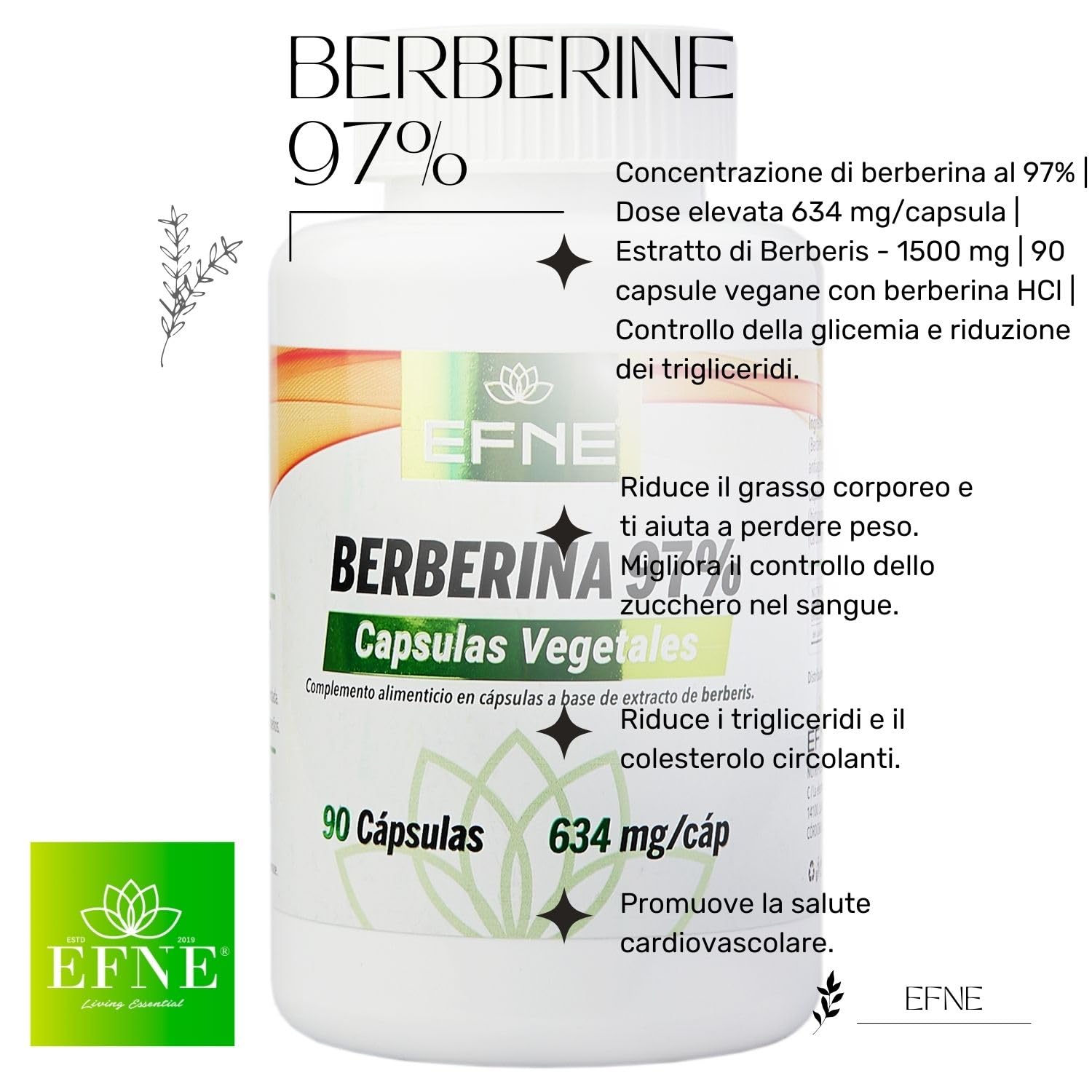 EFNE | Berbérine 97% de Concentration | Dosage Élevé 634 MG/Capsule | Extrait de Berberis - 1500 mg | 90 Gélules Végétaliennes avec Berbérine HCl |