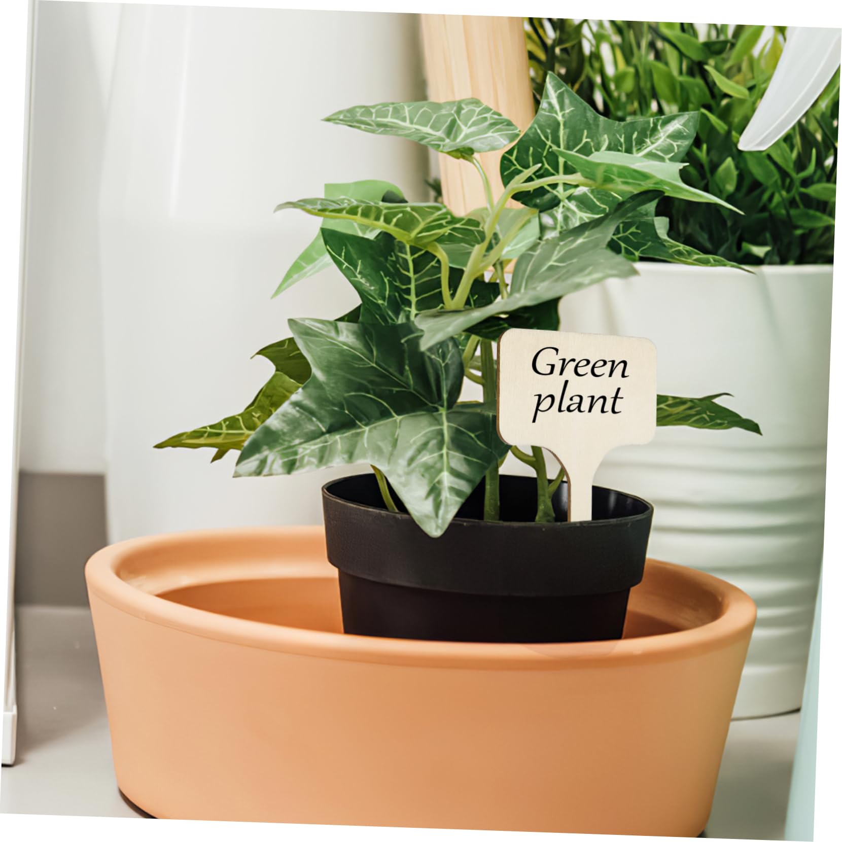 POPETPOP Lot De 4 Étiquettes De Plantes De Jardin En Bois Pour Marqueurs De Plantes D'extérieur 50 Pièces X 4