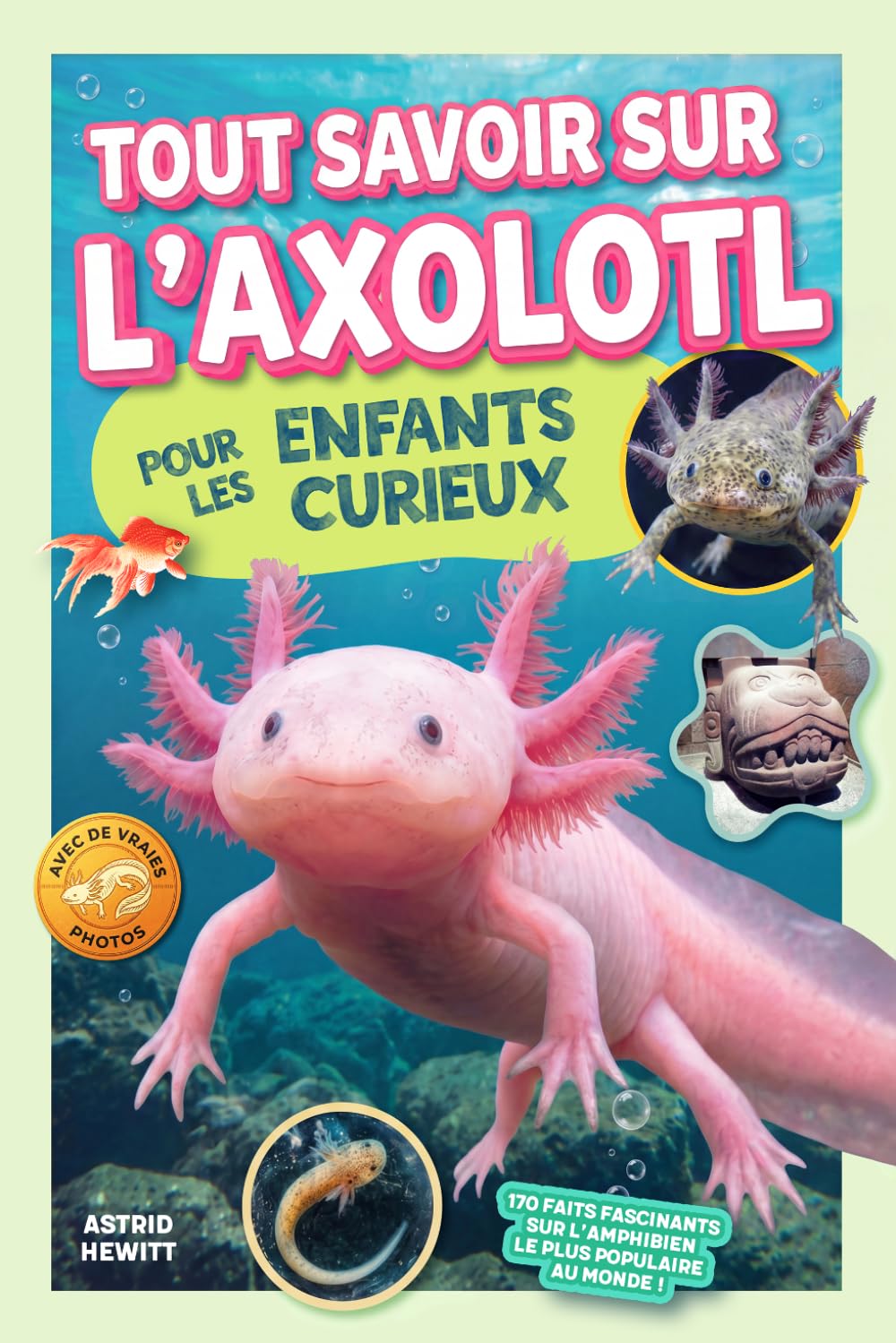 Tout savoir sur l’axolotl pour les enfants curieux: 170 faits fascinants sur l’amphibien le plus populaire au monde !