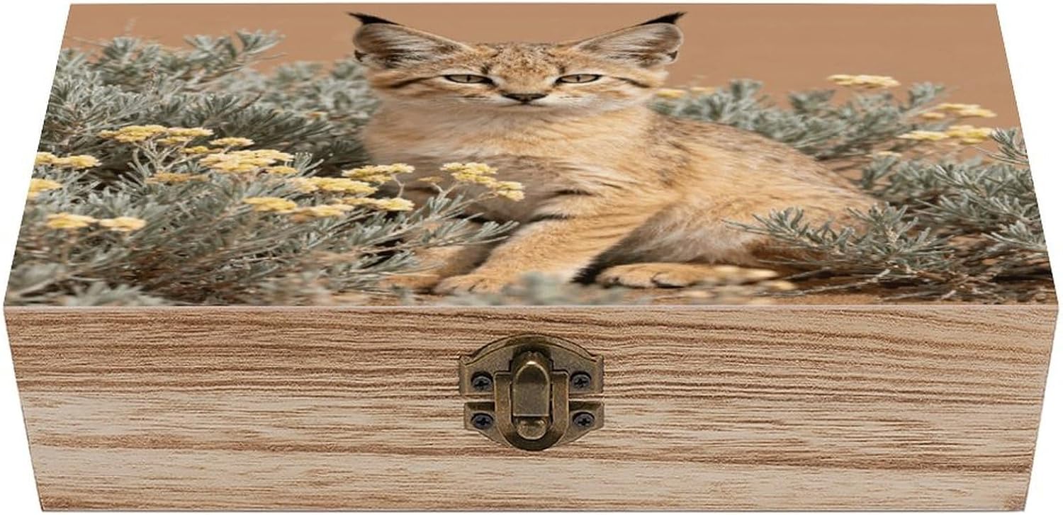 Sand Cat in Camelthorn Wooden Storage Box Vintage Jewelry Box