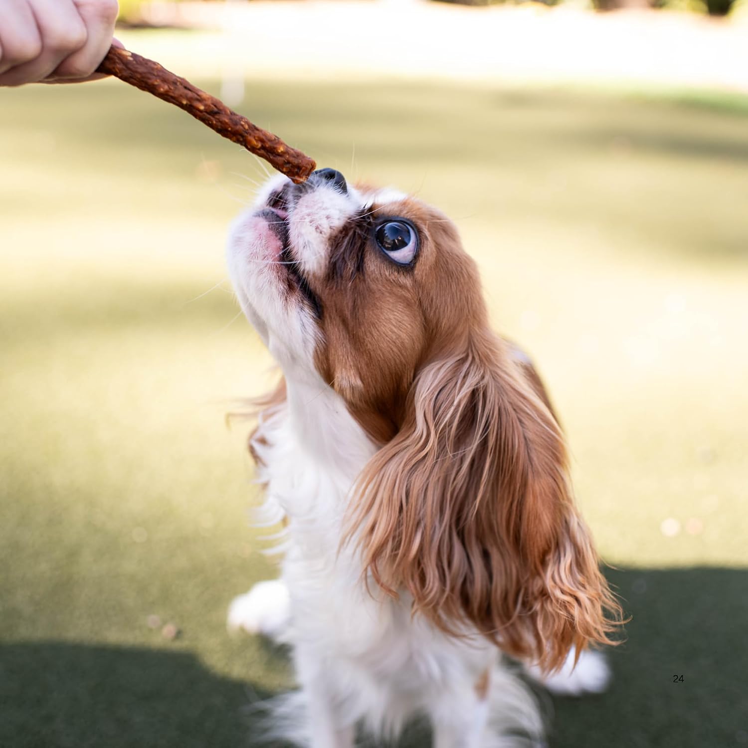 Loving Pets Soft Jerky Dog Treats – USA-Sourced Meat Wheat & Corn Free All Sizes