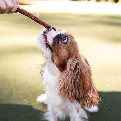 Miniatura 4 de Loving Pets - Cecina suave para masticar (receta de pollo, tocino y queso) Golosinas para perros fabricadas en Estados Unidos