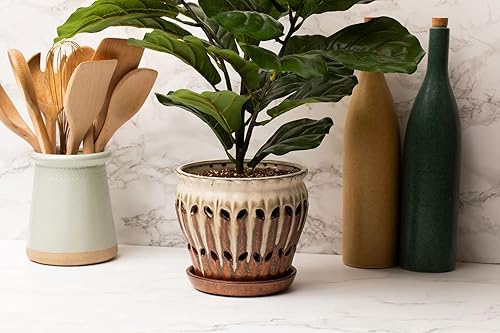 Miniatura 4 de rePotme Tierra para macetas multiusos para plantas de interior y exterior, orgánica y fabricada en los Estados Unidos, plantas de interior y mezcla