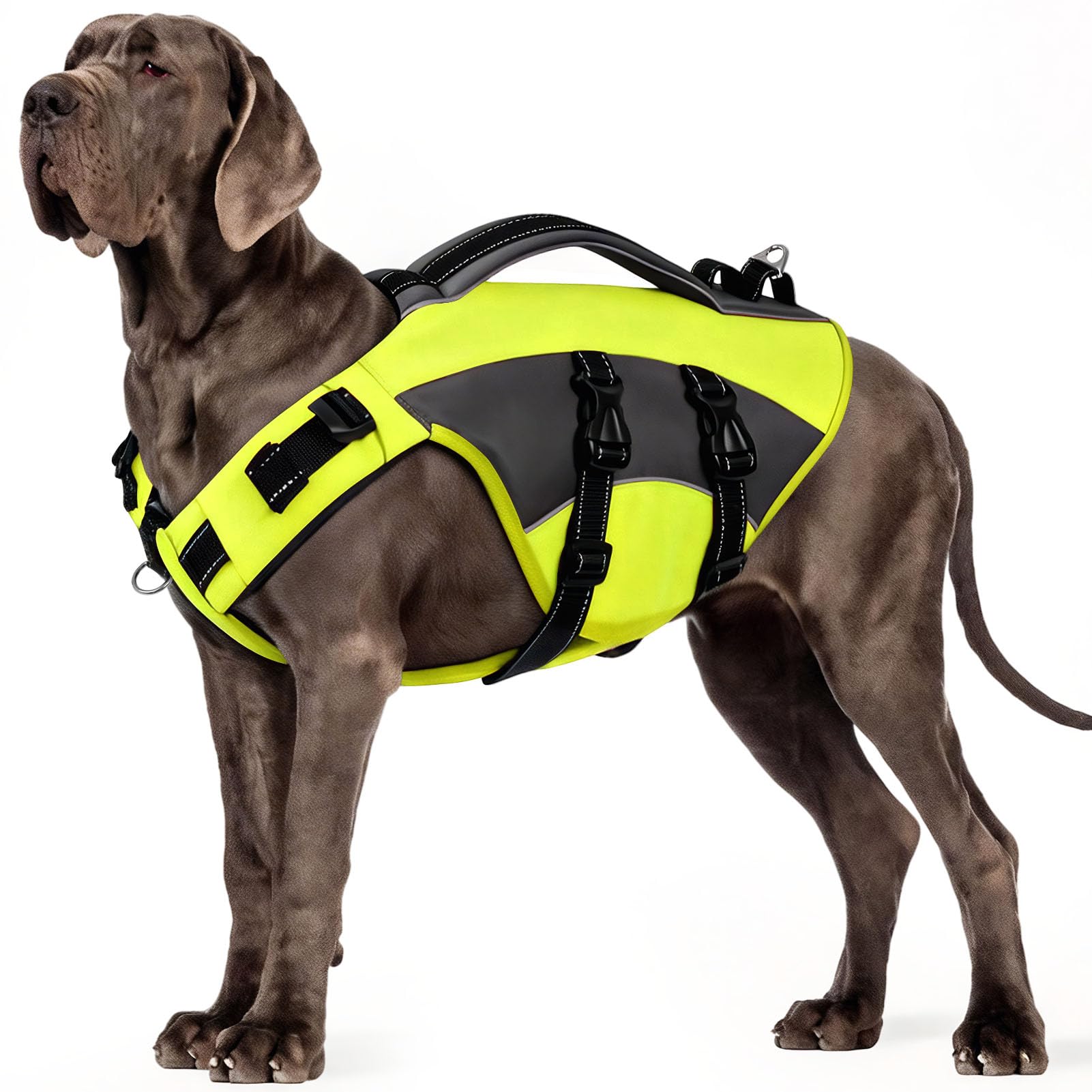 CITÉTOILE Hunde Schwimmweste mit Griff und Reflektierend, Einstellbare Rettungsweste für Kleine Mittel Große Hunde, Langlebigem für Wassersport Schwimmen und Bootfahren, Grün, XL