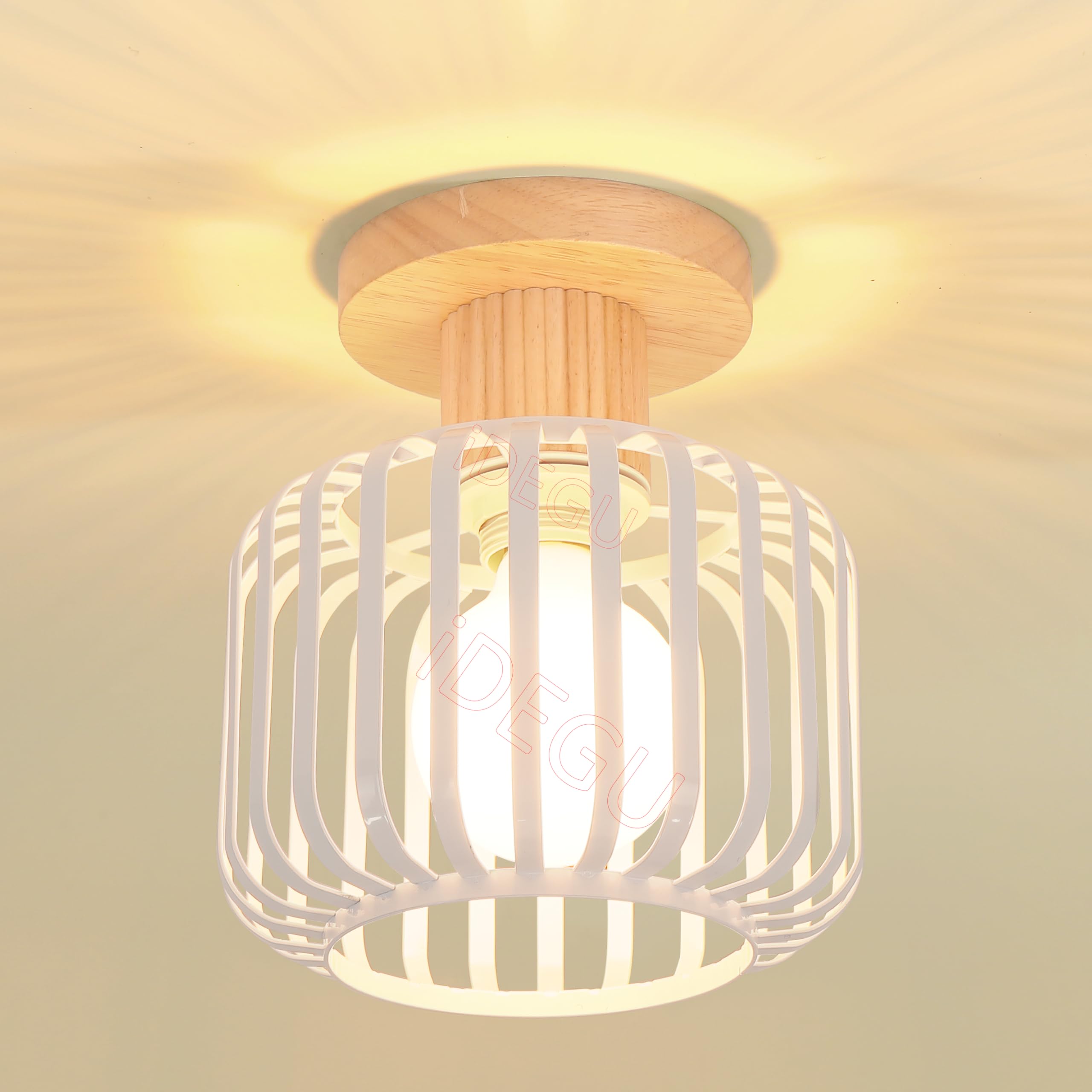 iDEGU Lámpara de Techo Vintage, 18CM Iluminación de Techo E27 en Madera y Metal Industrial Diseño Jaula Lámpara Colgante Retro Plafón Luz de Techo para Pasillo Dormitorio Salón Cocina (Blanco)
