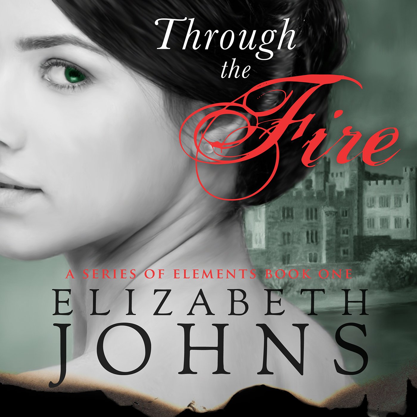 Cover art for Through the Fire