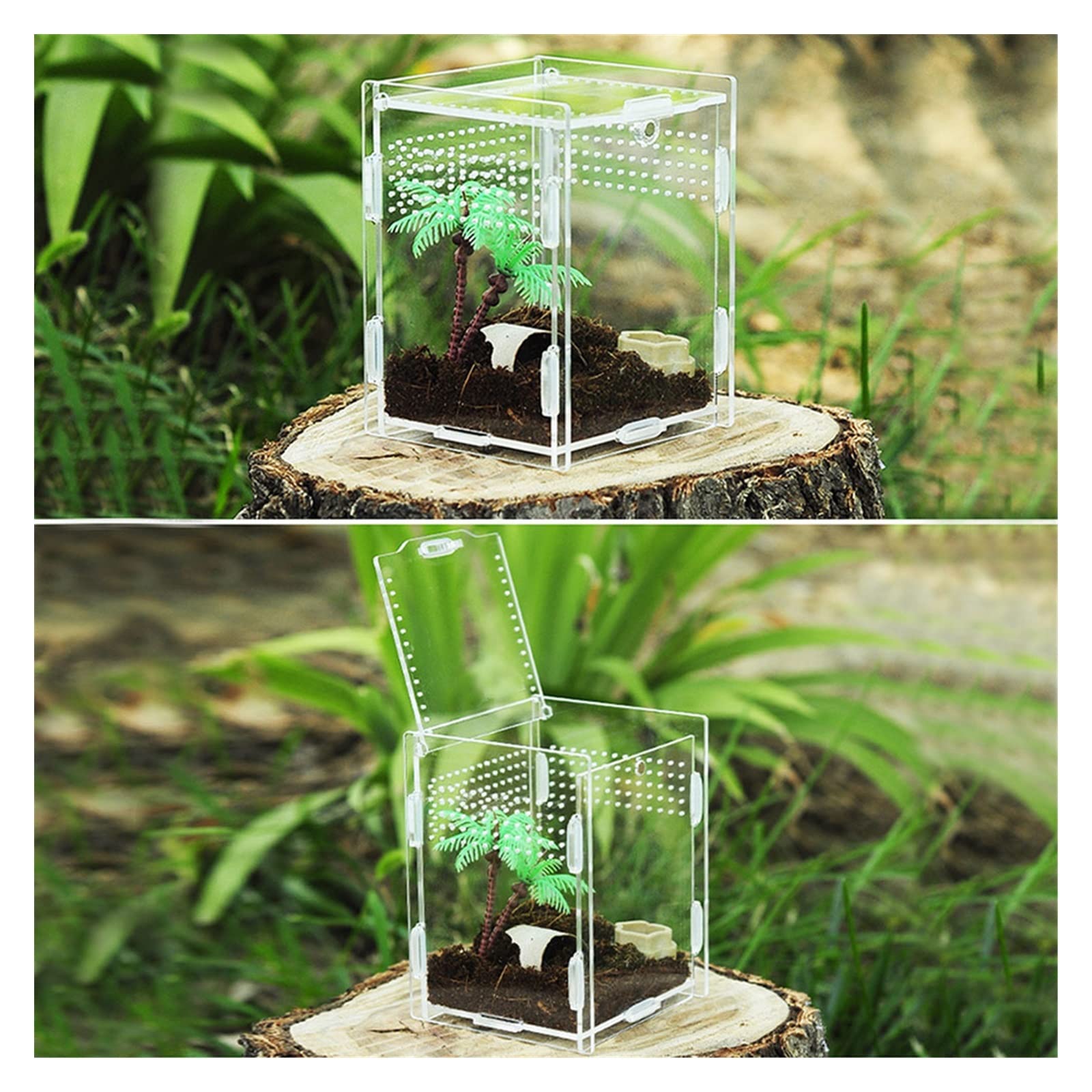 Reptilien-Terrarium, 360 Grad transparente Acryl-Reptilien-Terrarium-Futterbox for Reptilien