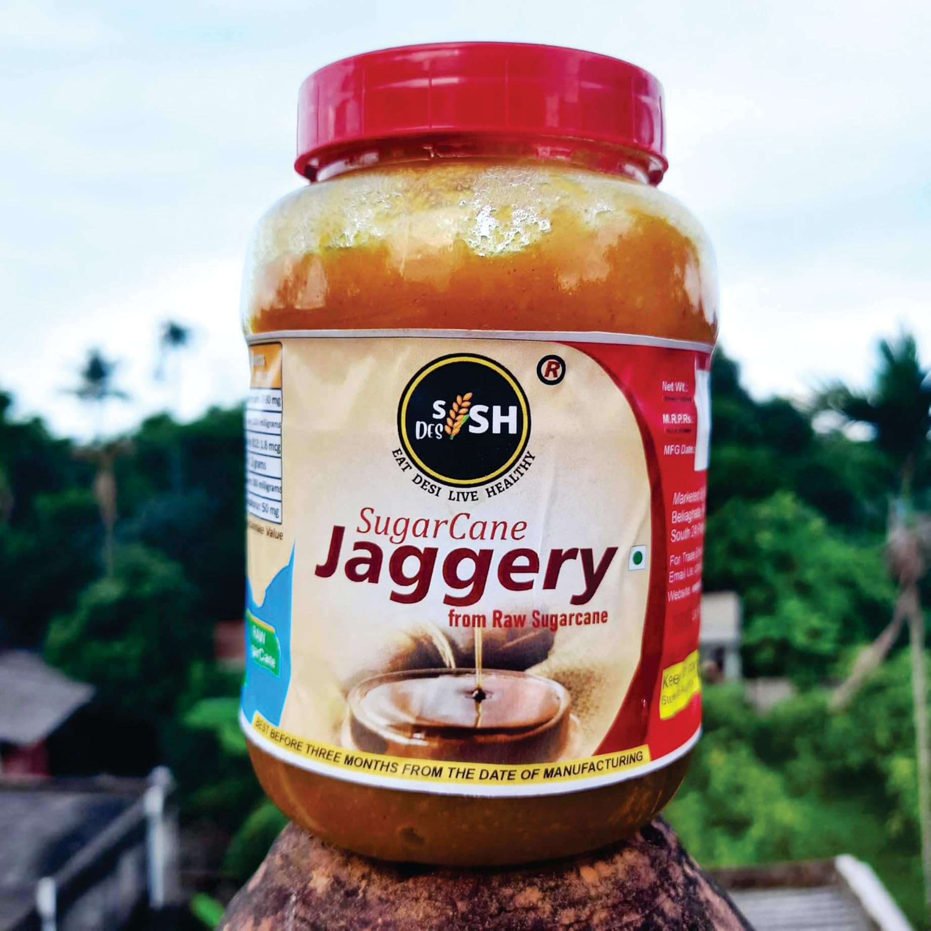 Sish Desi Pure Quality Handmade Sugarcane Jaggery (Akher Gur) - 700gm | Detoxifies Blood & Body | Zero Preservatives Gud | No Added Sugar | Natural Sweetener | Gur Liquid (B0D9TP4B5Z) Amazon Price History, Amazon Price Tracker