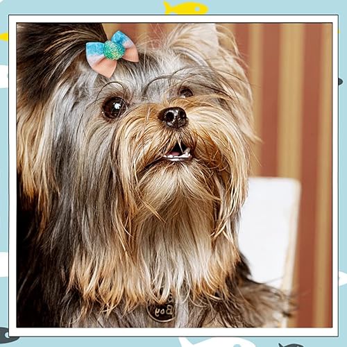 Miniatura 7 de JpGdn 24 unids12 pares de lazos para el pelo de perro con banda de goma, patrón de animales marinos de verano para niña, macho, hembra, pequeño,