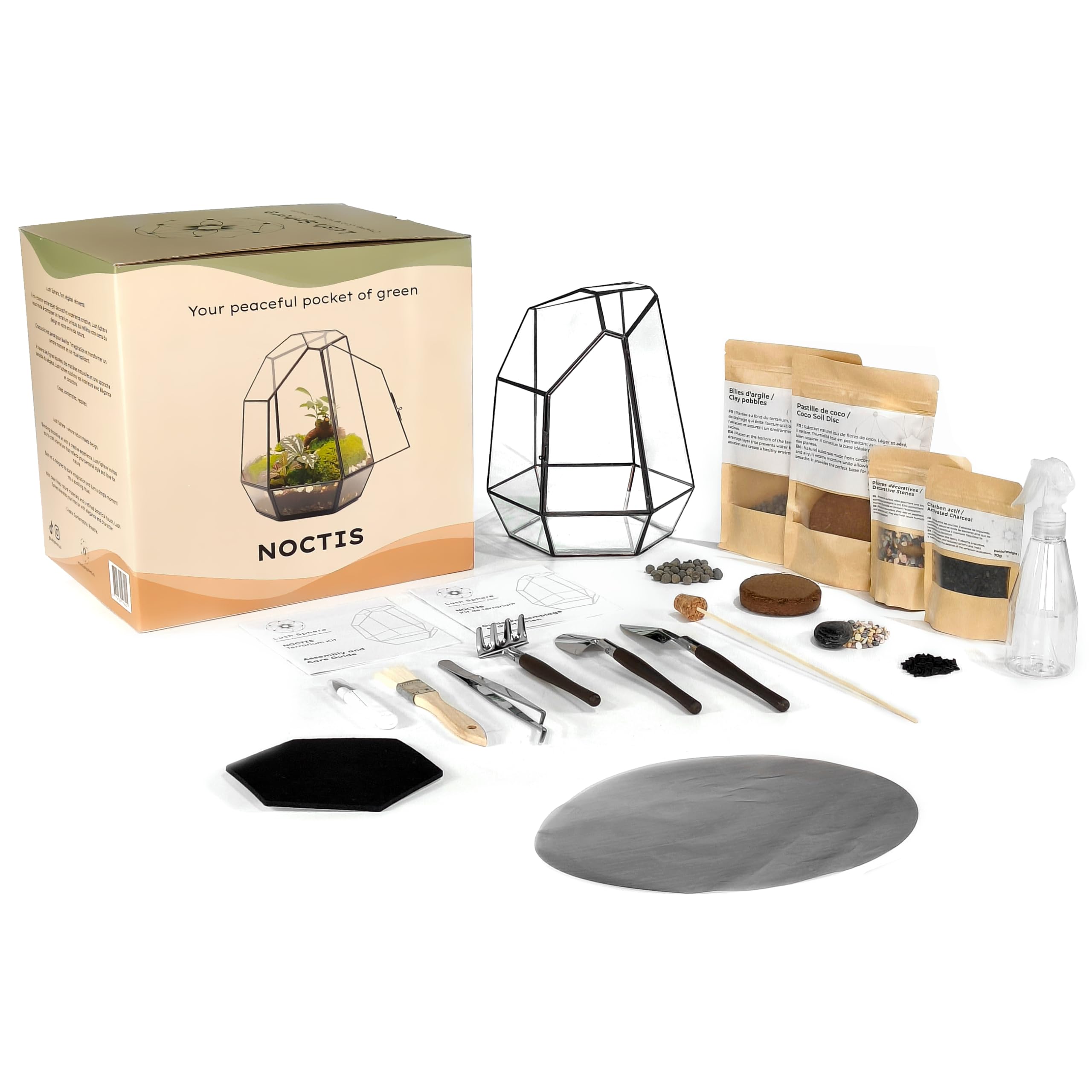 Noctis - Kit de Terrarium Complet DIY pour Plantes avec Substrat et 10 Outils Inclus - Structure en Verre - Design Géométrique - Écosystème Autonome, Coffret Créatif (sans Plantes)