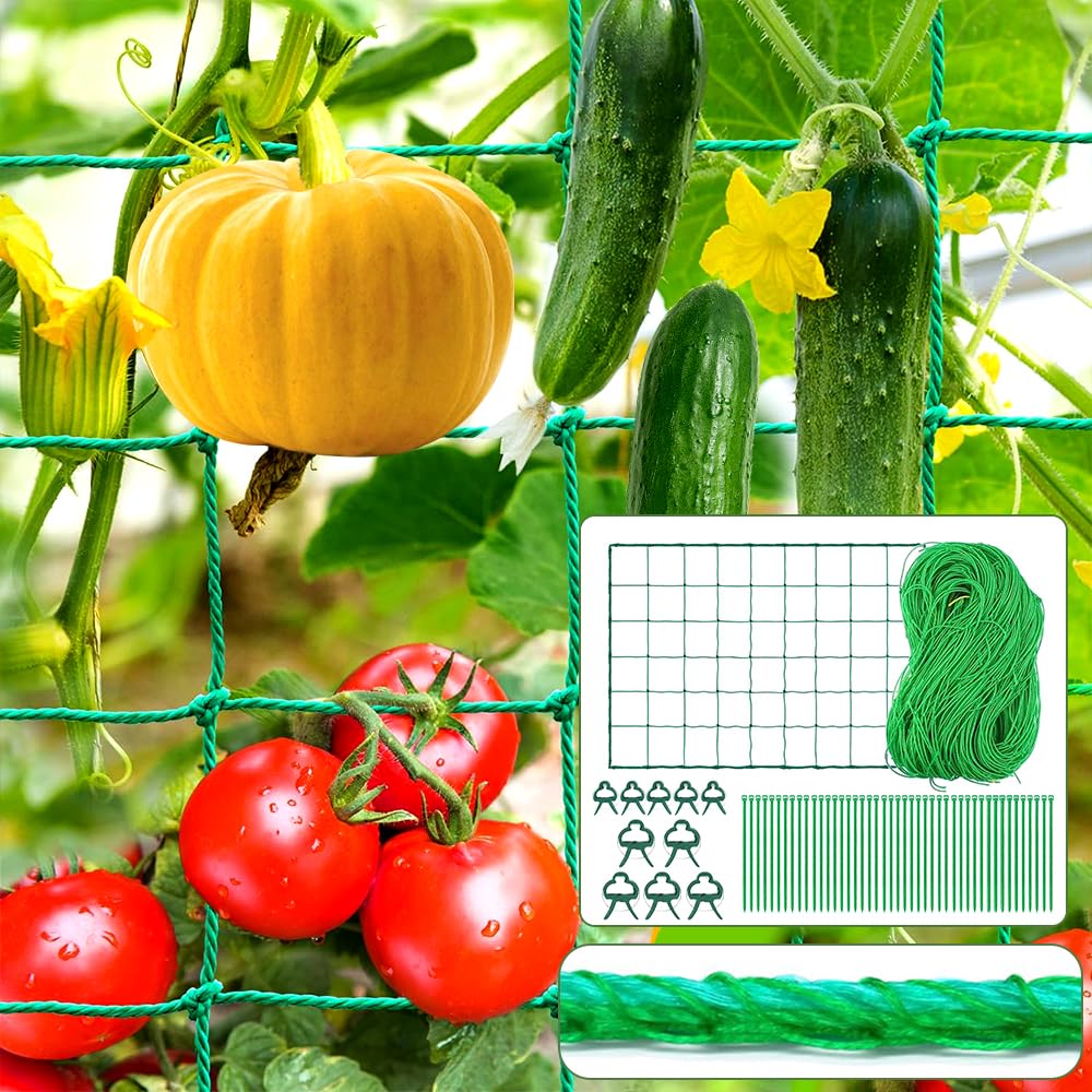 Filet Pour Plantes Grimpantes,Concombre,Roses,Haricots Avec 100 Filet Pour Plantes Grimpantes,Concombre,Roses,Haricots Avec 100
