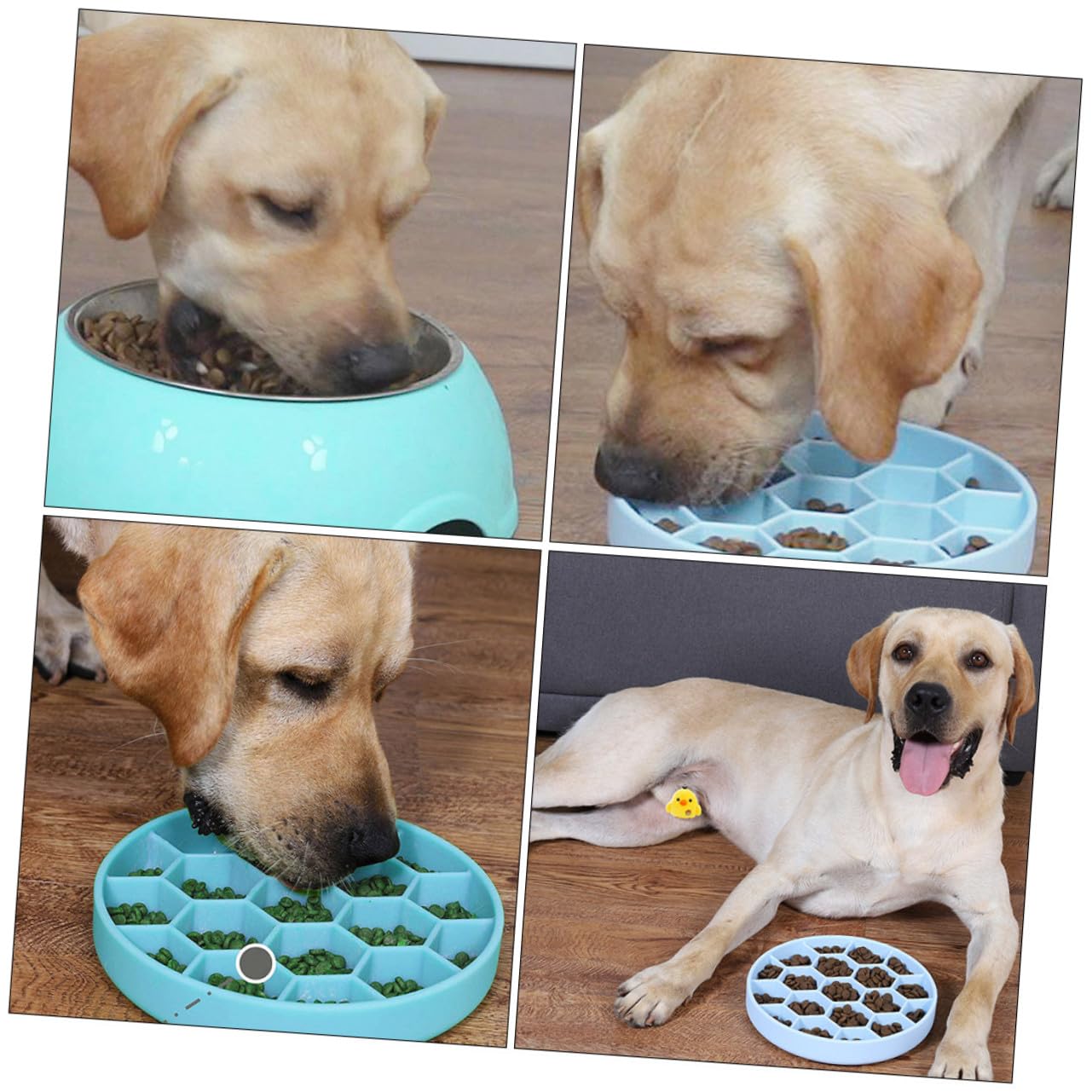 BESTonZON Langsamer Futternapf aus Langlebigem Silikon mit Anti verschluckschutz Rutschfestem Saugnapf und Glatter Oberfläche Mittelgroß in Blau für Stressfreies Füttern von Hunden und