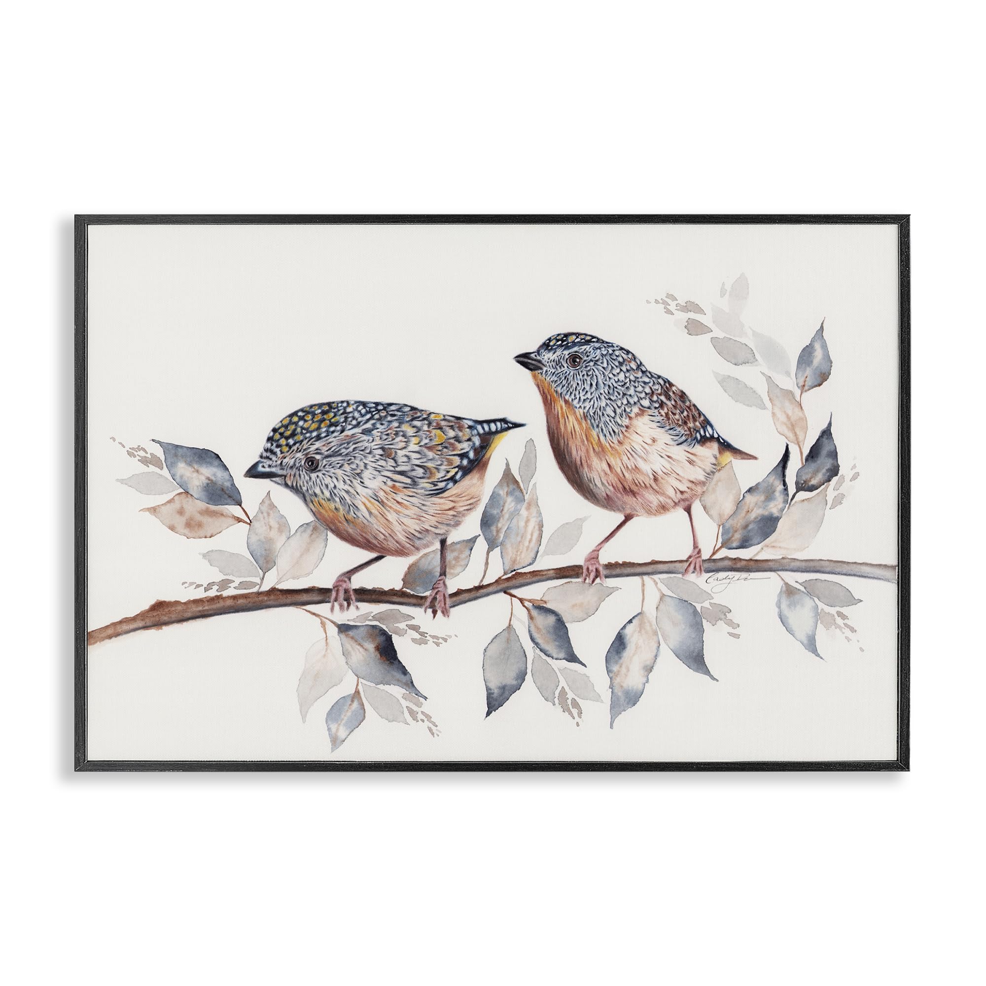 Stupell Industries Speckled Bird Pair on Branch White Framed Giclee Art, design by Cady Driver, 16 x 24