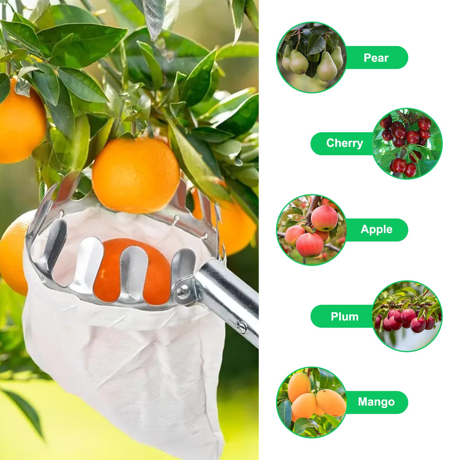 Cueilleur de Fruits avec Manche Télescopique 4 m pour Verger Jardin Pommes Cerises