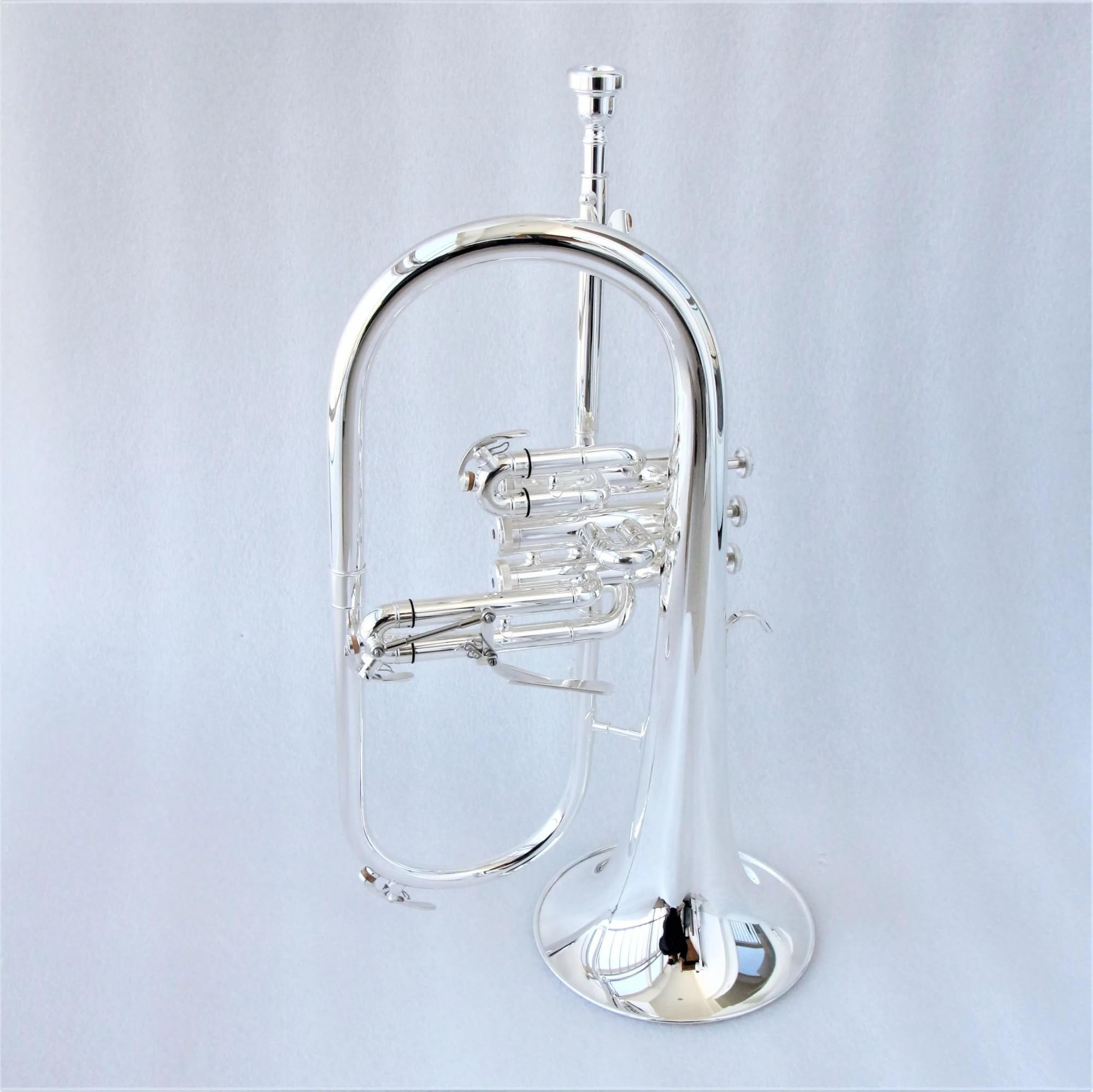 trompeta instrumento musical Trompeta Profesional De Gama Alta Sib Plateada Si Bemol