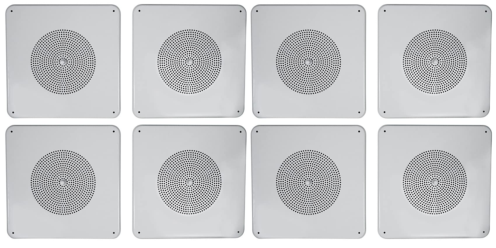 Rockville (8) MS81 Metal 8