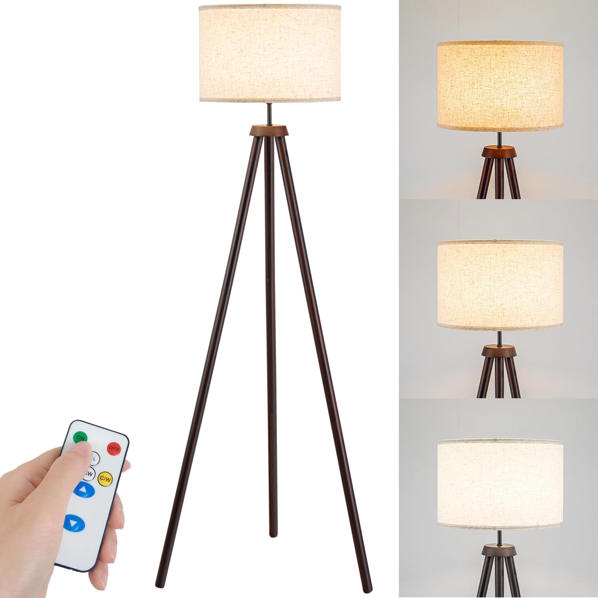 Battery Operated Floor Lamp for Living Room, Modern Battery powered