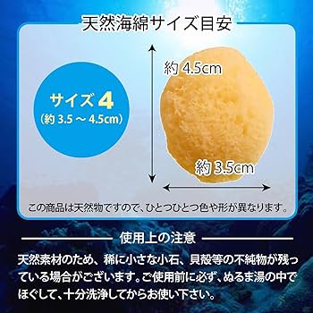 Amazon.co.jp: トイズファンの天然海綿 女性用 海外直輸入品 パフ