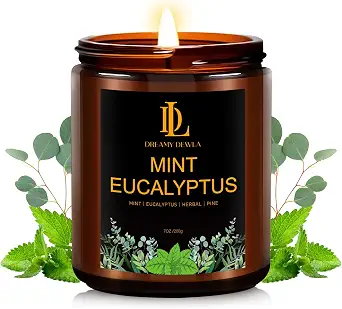 Mint Eucalyptus Scented Soy Candle, 7oz, 50-Hour Burn