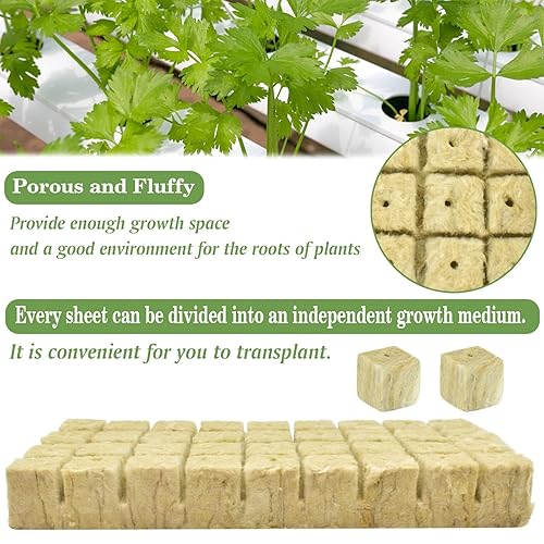 Vista 47 de Halatool Cubos de lana de roca de 1 pulgada para jardín de lana de roca, cubos de cultivo hidropónico, sin suelo, plantas clon inicio de germinación