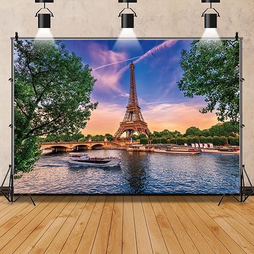 Miniatura 6 de Telón de fondo de la Torre Eiffel de París, paisaje urbano de París, puente de sol, lago, vacaciones al aire libre, fotografía, fondo de luna de